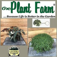 The Plant Farm - $100 Voucher